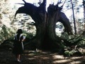 Decalogue 2006: Pan's Labyrinth + Talk