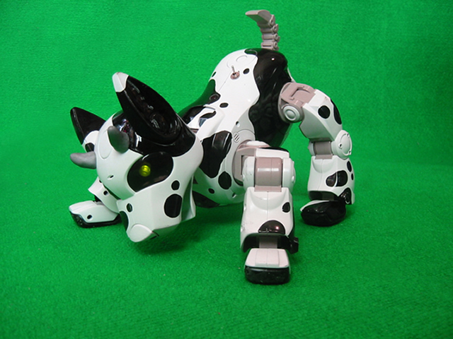 Dog(LAB) 02