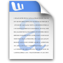 MS Word