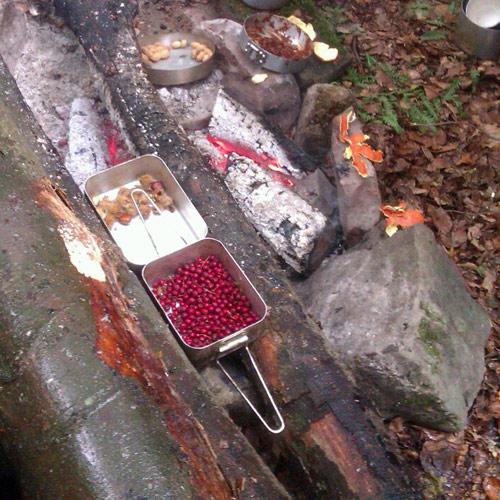 Hawthorn berries and beechnuts