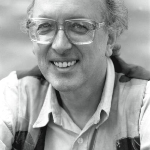 David Peat: A Flickering Reality