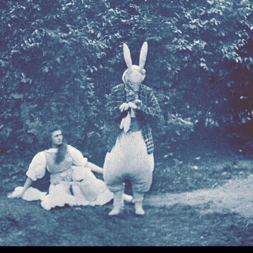 Alice 1903:Rabbit