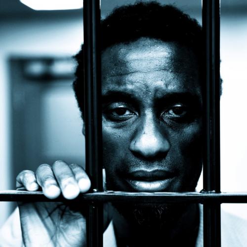 St Pauls Fringe Programme: Sus: cell