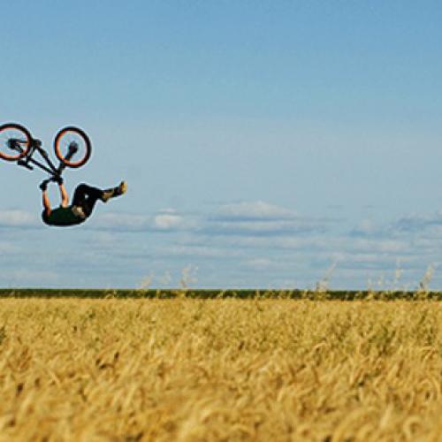 Cyclescreen 2011: Life Cycles: Field