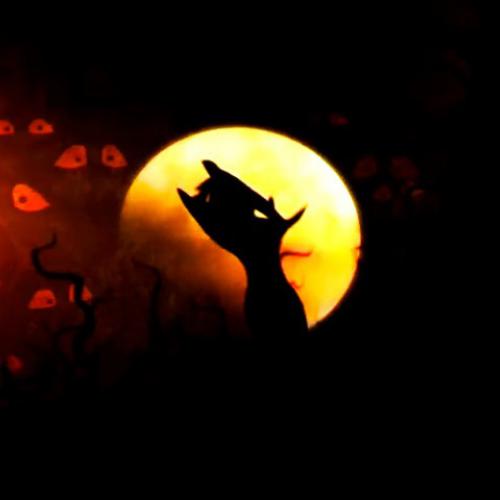 DShed: Spooky 