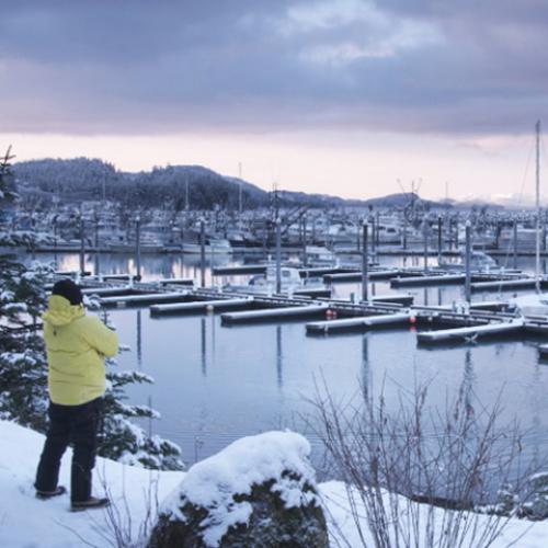 The Nine Muses: Harbour
