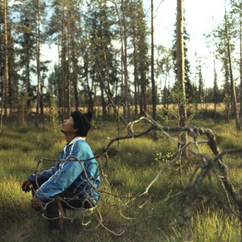 Encounters Nominated Shorts Season 2013: Miten Marjoja Pomitaanstill