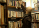 The bookshop owner reaching up onto a shelf