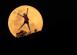 A girl stands in the light of the moon