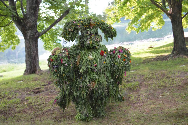 A photo of a hydroponic costume made of grass standing in a park.