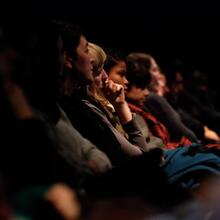 Cinema audience 
