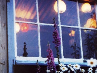 Still from Shed Heaven