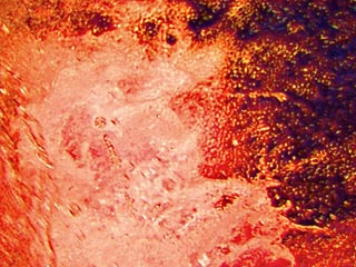 Still from Birth by Fire