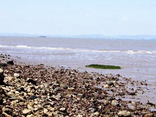 Metal Beach by Alan May