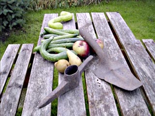 Still from Gardener’s World meets Time Team
