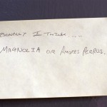 Personally I think... Magnolia or Amores Perros