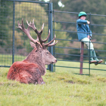 Ashton Court