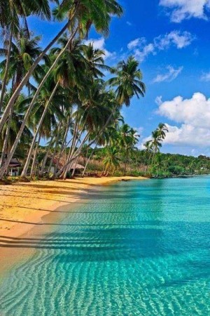 Jamaica beach