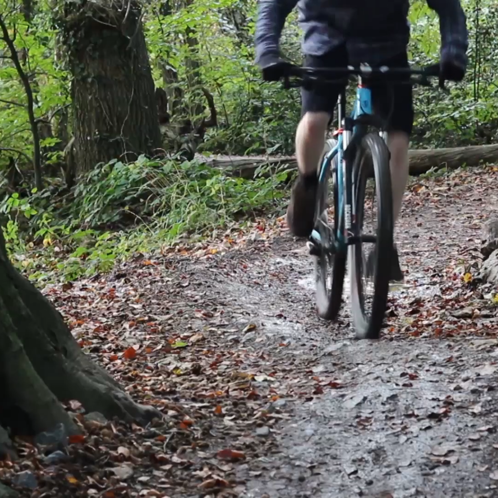 Friday: learn to mountain bike in Ashton Court