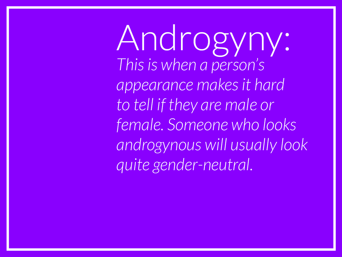 Androgyny