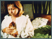 Animal Love