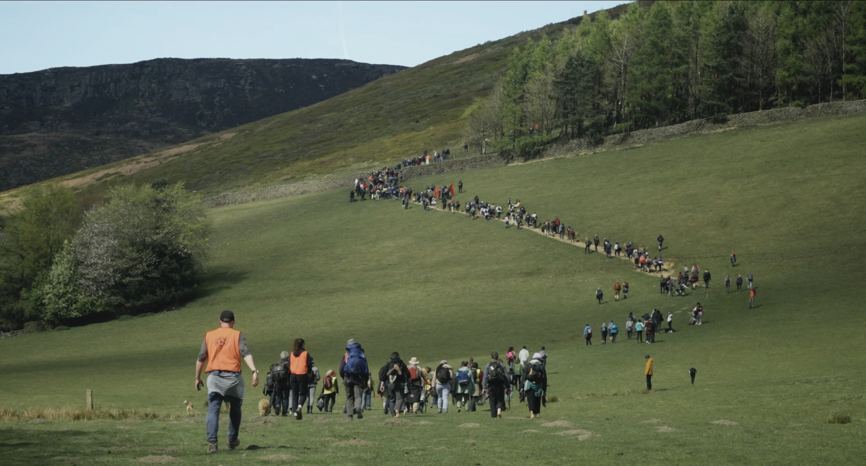 A photo of a large group of people walking up a grassy hill.