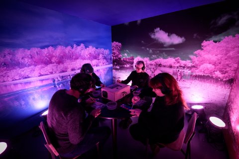 Four people sit in a room with images of landscape around it, the room is pink and purple and all four people have headphones on and are painting.
