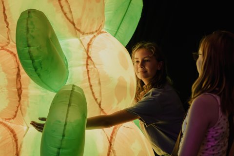 A girl reaches toward glowing green and cream lantern-like shapes, while another watches in a dim room; the warm, whimsical scene feels curious and playful.