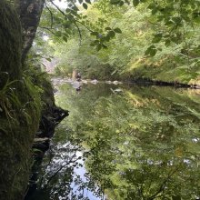 A serene river surrounded by lush greenery, reflecting trees and rocks, with a person sitting on a stone by the water's edge.