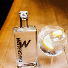 Watershed gin 