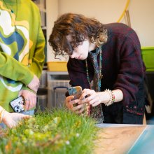 People looking at grass and plants on a table, one of them is taking a picture with their phone