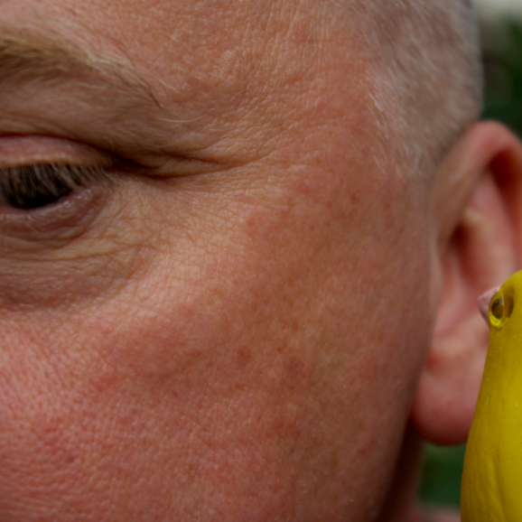 Stuart Nolan's ideobird