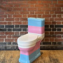 Trans Actual's Trans toilet, pained in Blue pink and white sits in Watershed cafe 
