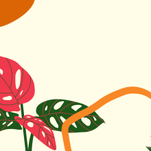 An illustration of colourful leaves in a cream background