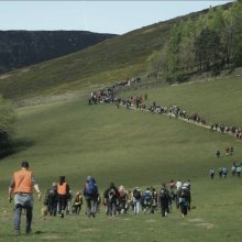 A photo of a large group of people walking up a grassy hill.