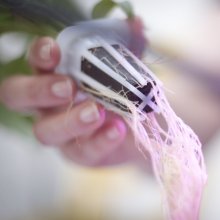 A close up of someone holding a small plant container, its roots visible. They are pink.