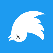 Twitter bird