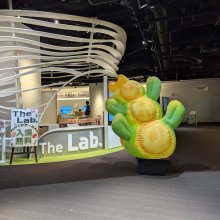 A large colourful inflatable plant is in Japan.