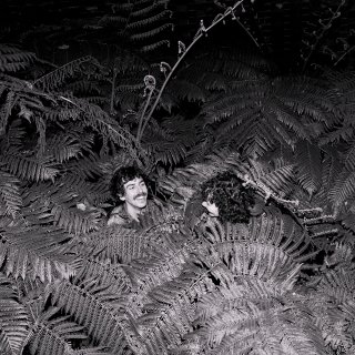 Two people laugh. They are buried in ferns.