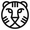IFFR Tiger