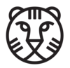 IFFR 2020