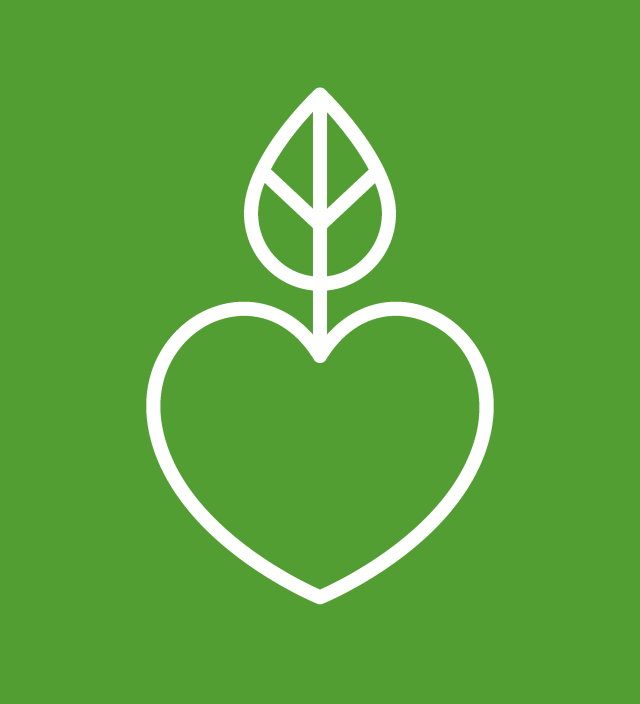 A line drawning illustration of a heart with a leaf-like stem on a green backdrop