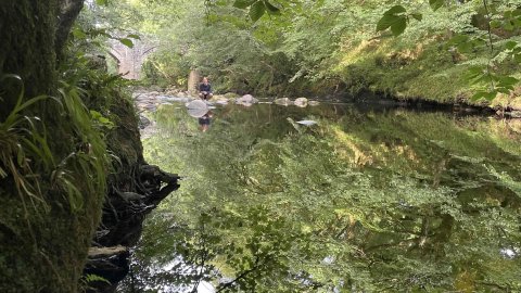 A serene river surrounded by lush greenery, reflecting trees and rocks, with a person sitting on a stone by the water's edge.