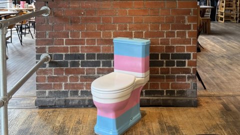 Trans Actual's Trans toilet, pained in Blue pink and white sits in Watershed cafe 