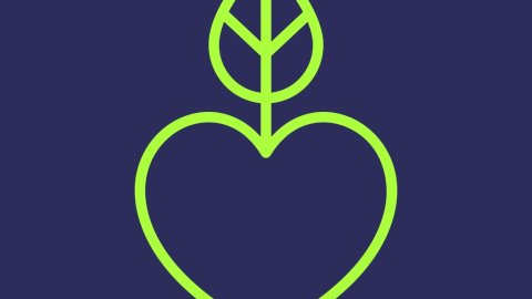 A line drawing of a heart in lime green, hanging from a leaf.