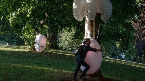 A person wearing a bicycle helmet embraces a giant inflatable object, white and round, which is attached to a tree.