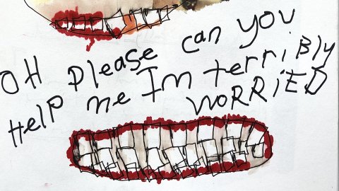 Abstract drawing of a face with distressed features and red accents, accompanied by handwritten text: "OH please can you help me I'm terribly WORRIED," conveying anxiety.