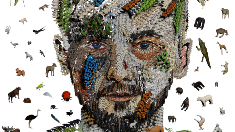 A portrait made from various animal, leaf, and insect shapes against a black background. The colourful elements create an expressive and detailed face.