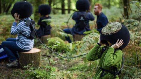 MLF placeholder - People sitting on tree stumps in a forest wear large spherical helmets resembling moss-covered rocks, creating a surreal and curious atmosphere.