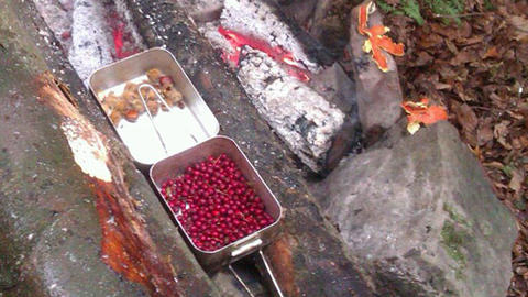 Hawthorn berries and beechnuts